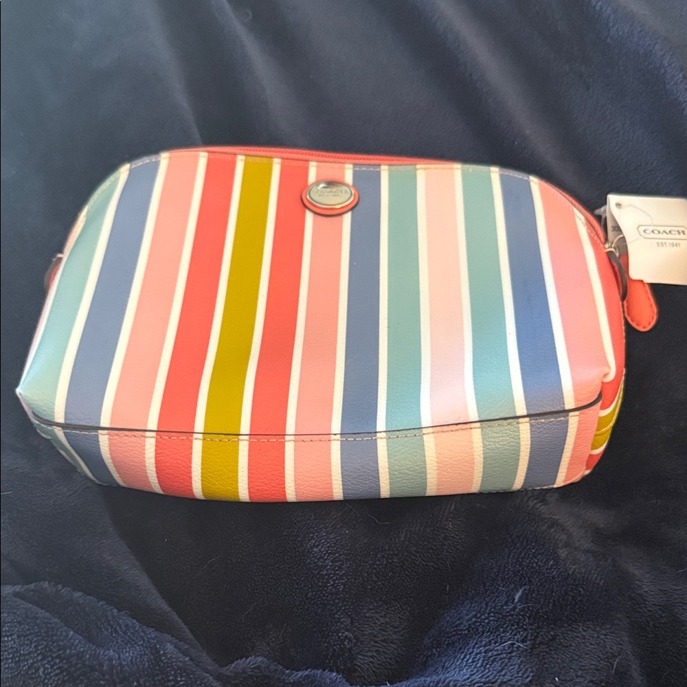 Coach Colorful Striped Cosmetic Bag